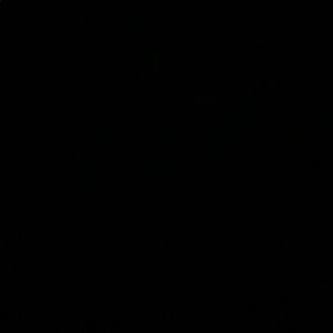 Meet your Posher, Hollie